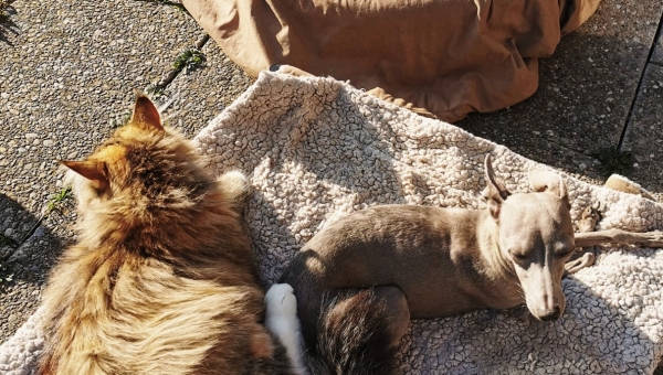 Trotzdem die Sonne genießen